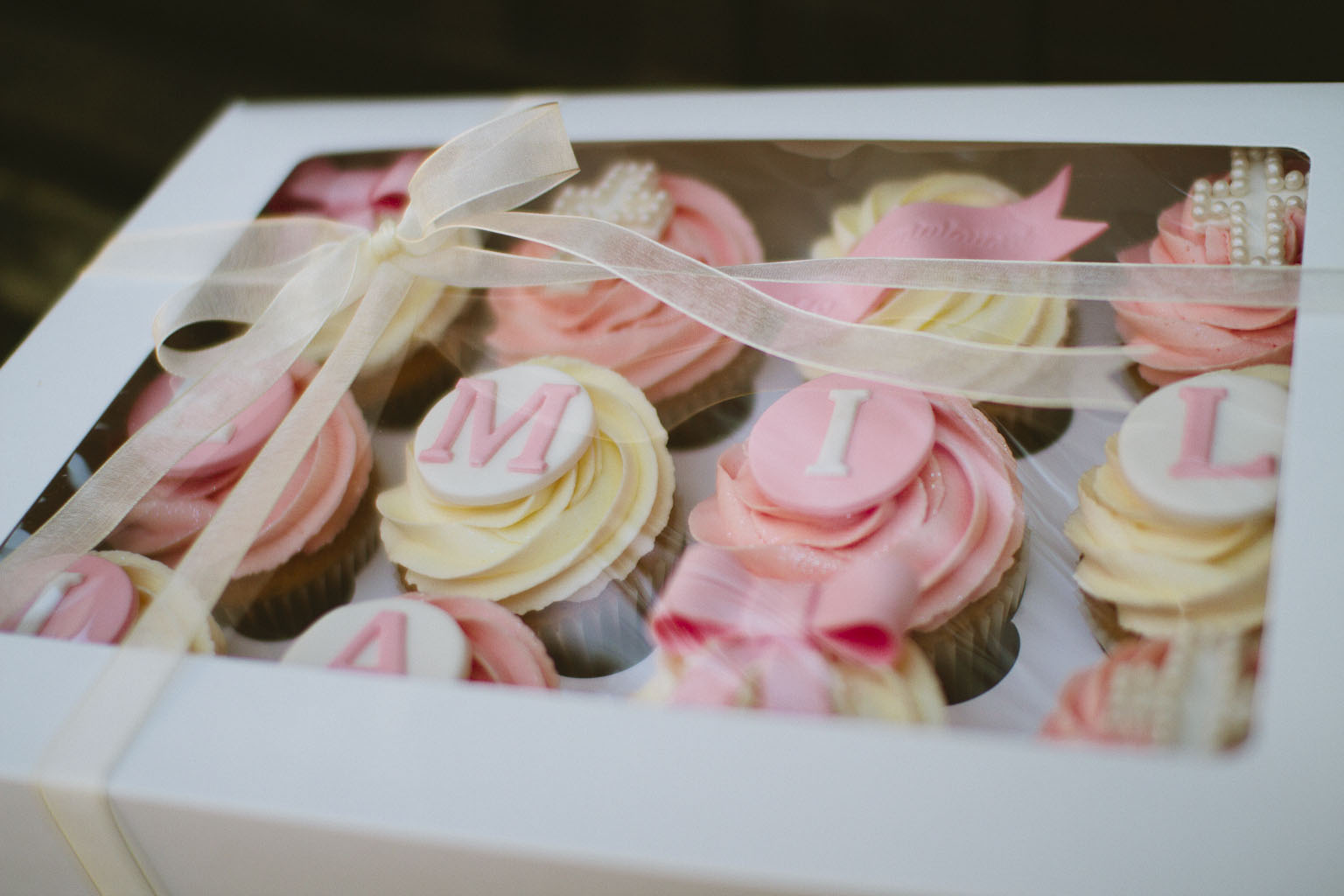 boxes-for-cupcakes-moretoes-cupcake-boxes-8-packs-white-cupcake
